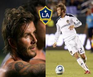 yapboz David Beckham, İngiliz futbolcu. Şu anda LA Galaxy için çalış.